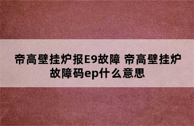 帝高壁挂炉报E9故障 帝高壁挂炉故障码ep什么意思